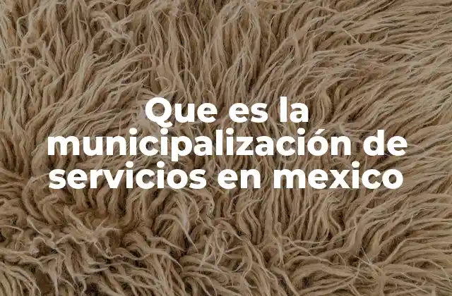 El rol de los municipios en la prestación de servicios públicos
