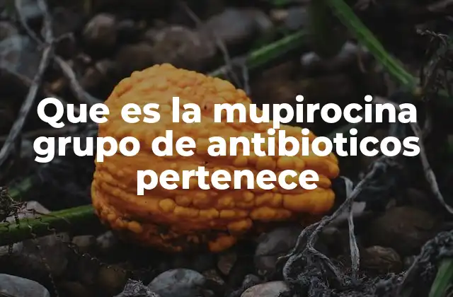 Que es la Mupirocina Grupo de Antibioticos Pertenece