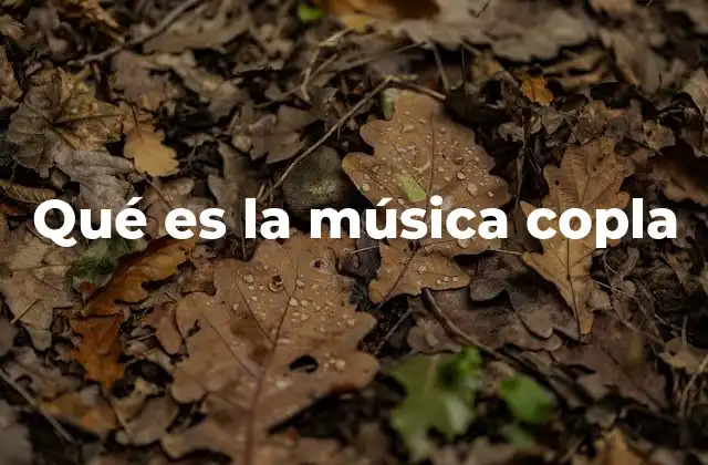 Qué es la Música Copla