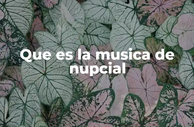 Que es la Musica de Nupcial
