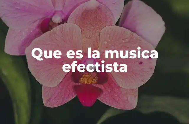 Que es la Musica Efectista