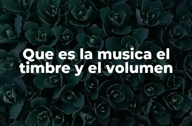 Que es la Musica el Timbre y el Volumen