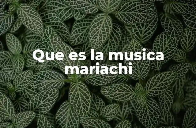 Que es la Musica Mariachi