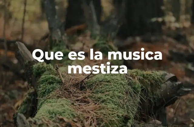Que es la Musica Mestiza