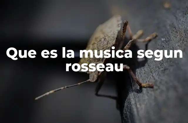 Que es la Musica Segun Rosseau