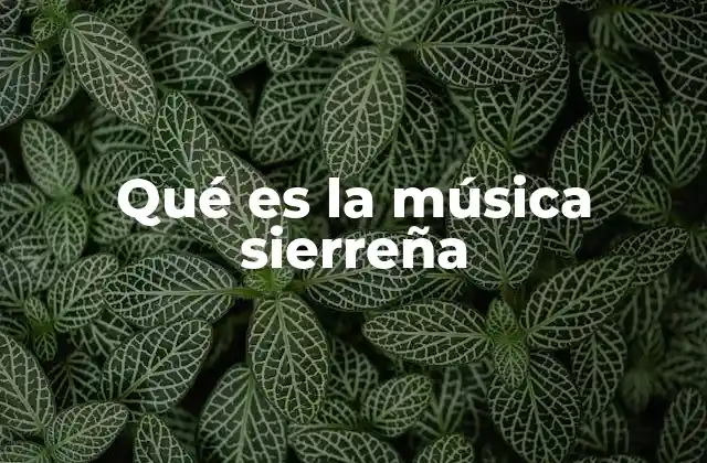 Qué es la Música Sierreña 2 El origen y evolución de este género musical tradicional
