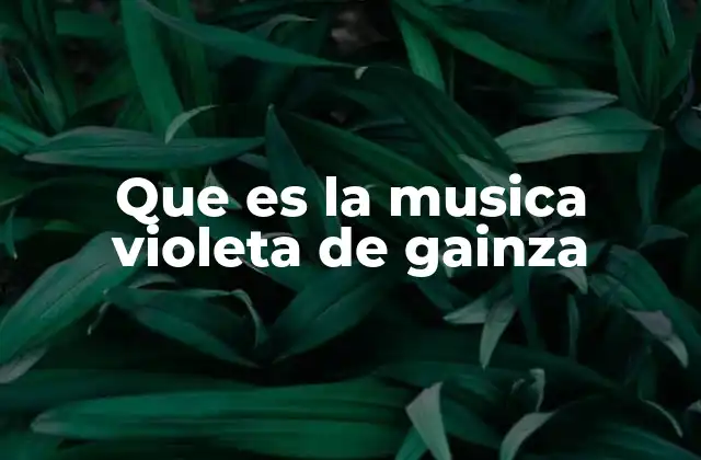 Que es la Musica Violeta de Gainza