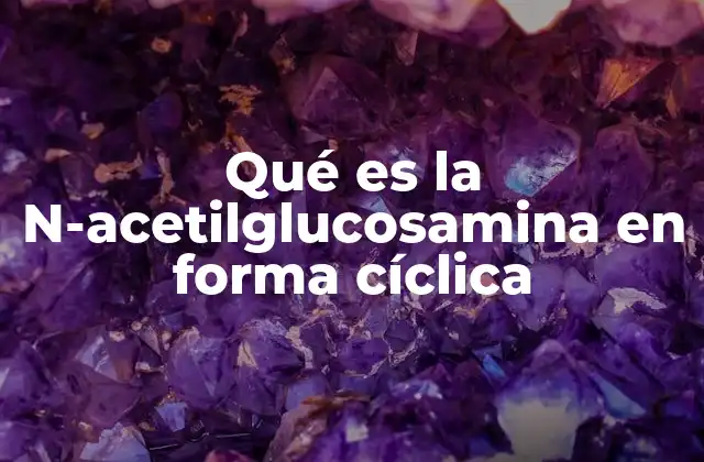 Qué es la N-acetilglucosamina en Forma Cíclica