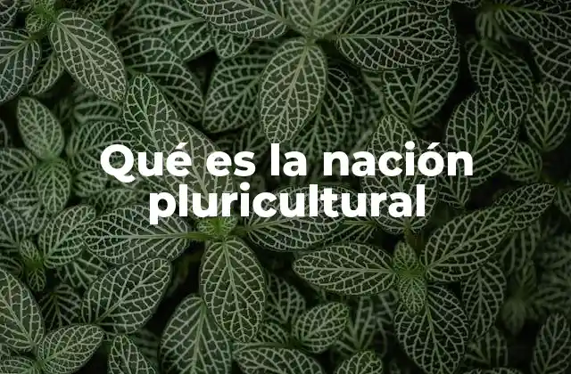 Qué es la Nación Pluricultural