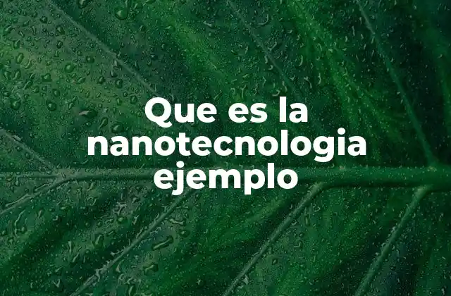 Que es la Nanotecnologia Ejemplo