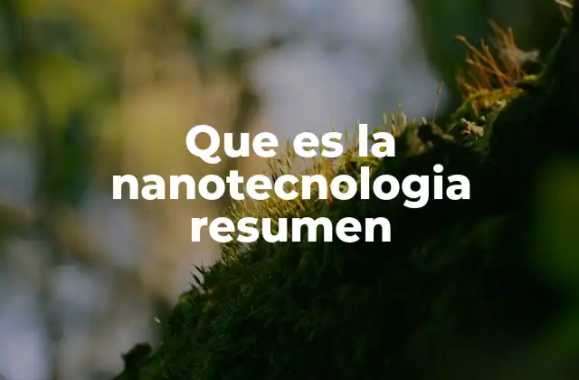 Que es la Nanotecnologia Resumen