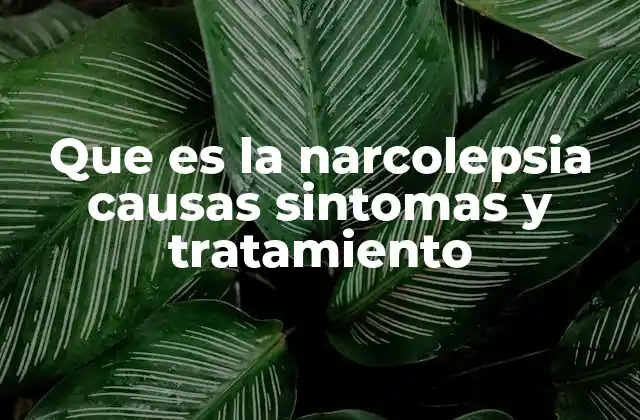 Que es la Narcolepsia Causas Sintomas y Tratamiento