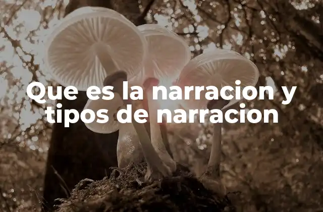 Que es la Narracion y Tipos de Narracion