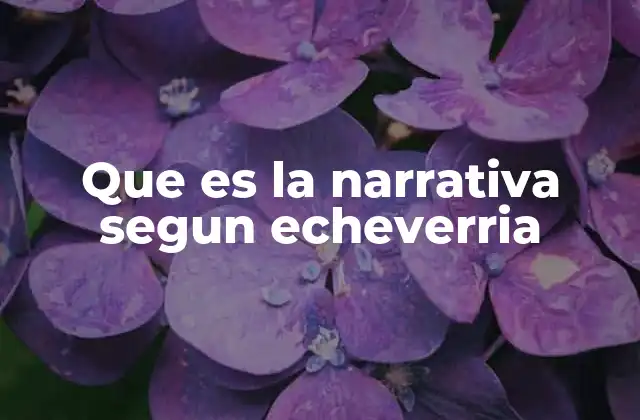 Que es la Narrativa Segun Echeverria
