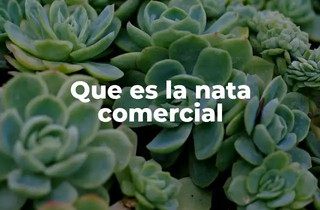 Que es la Nata Comercial
