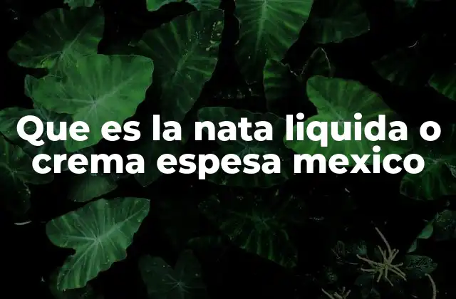 Que es la Nata Liquida o Crema Espesa Mexico