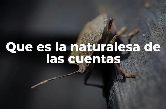 Que es la Naturalesa de las Cuentas