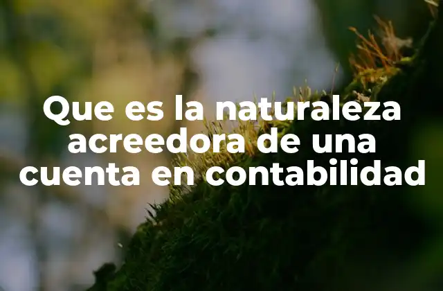 Que es la Naturaleza Acreedora de una Cuenta en Contabilidad