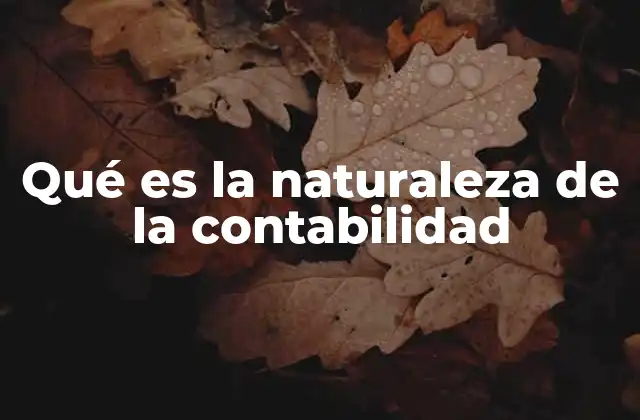 Qué es la Naturaleza de la Contabilidad