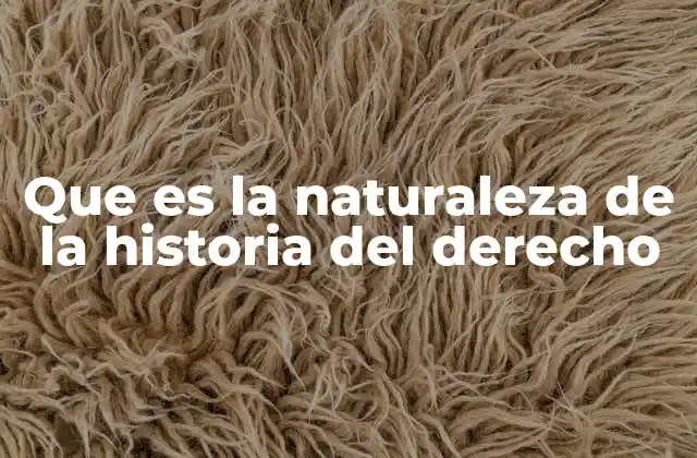 Que es la Naturaleza de la Historia Del Derecho