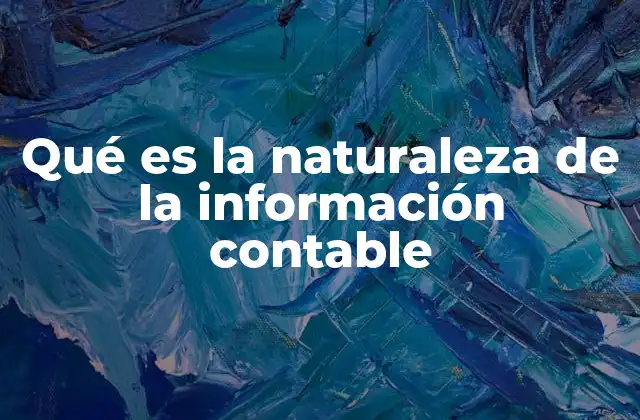 Qué es la Naturaleza de la Información Contable