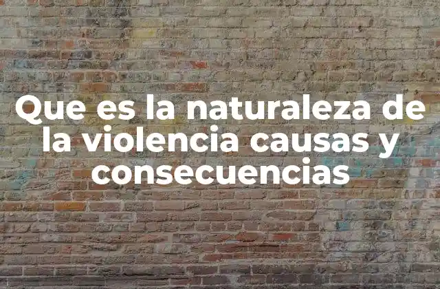 Que es la Naturaleza de la Violencia Causas y Consecuencias