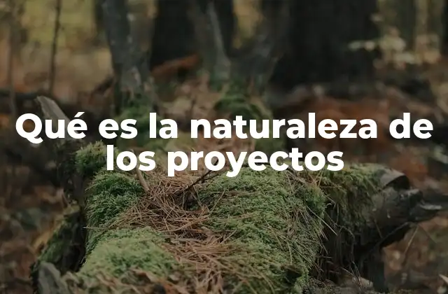Qué es la Naturaleza de los Proyectos