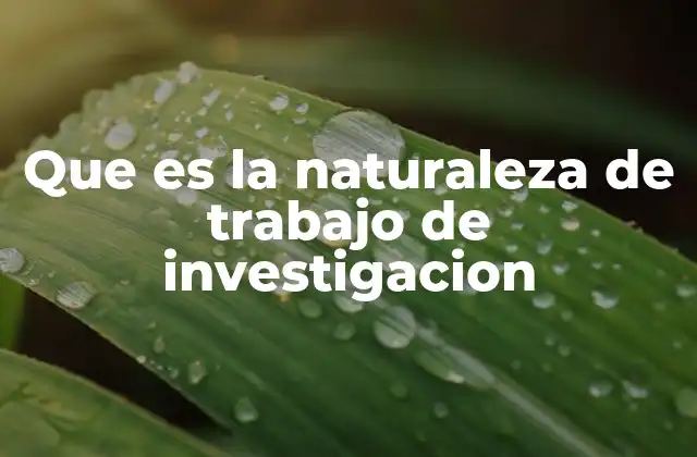Que es la Naturaleza de Trabajo de Investigacion