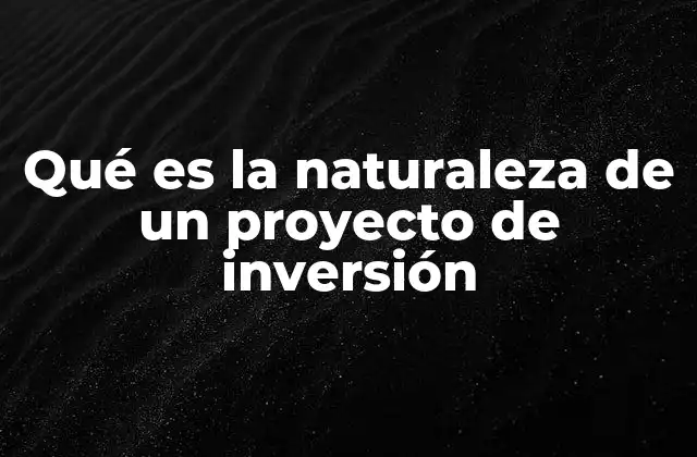 Qué es la Naturaleza de un Proyecto de Inversión