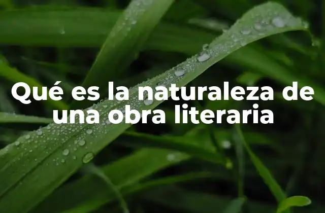 Qué es la Naturaleza de una Obra Literaria