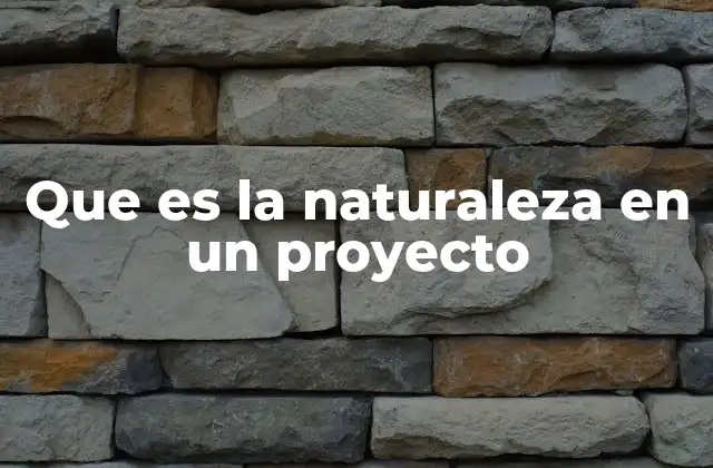 Que es la Naturaleza en un Proyecto