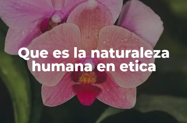 Que es la Naturaleza Humana en Etica