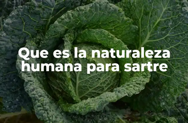 Que es la Naturaleza Humana para Sartre
