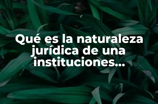 Qué es la Naturaleza Jurídica de una Instituciones Educativas