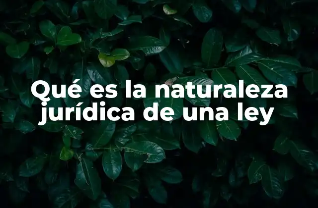Qué es la Naturaleza Jurídica de una Ley