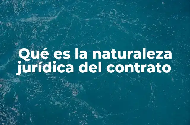 Qué es la Naturaleza Jurídica Del Contrato