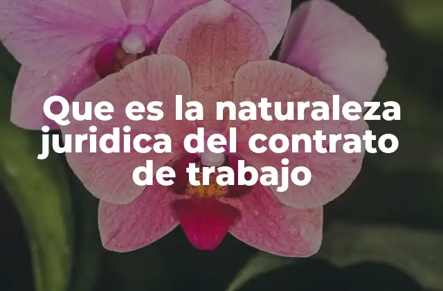 Que es la Naturaleza Juridica Del Contrato de Trabajo