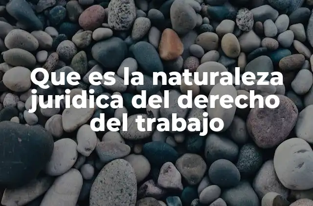 Que es la Naturaleza Juridica Del Derecho Del Trabajo