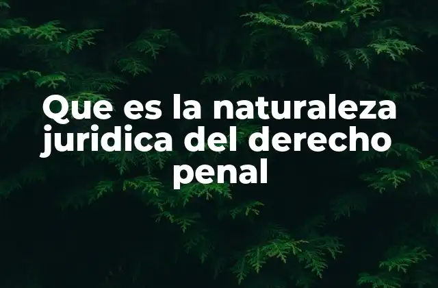 Que es la Naturaleza Juridica Del Derecho Penal