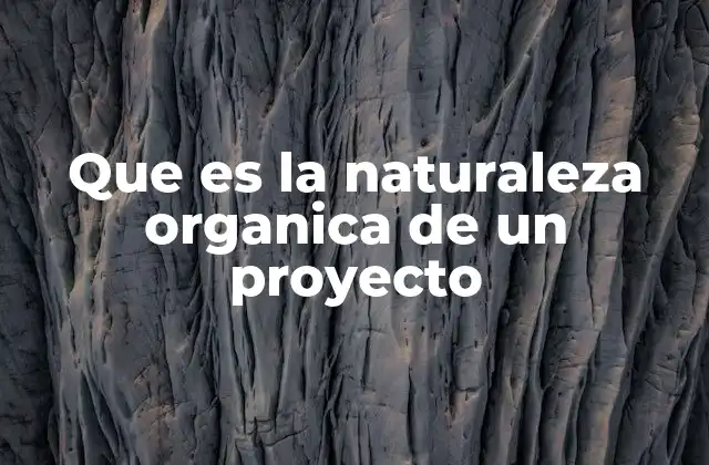 Que es la Naturaleza Organica de un Proyecto