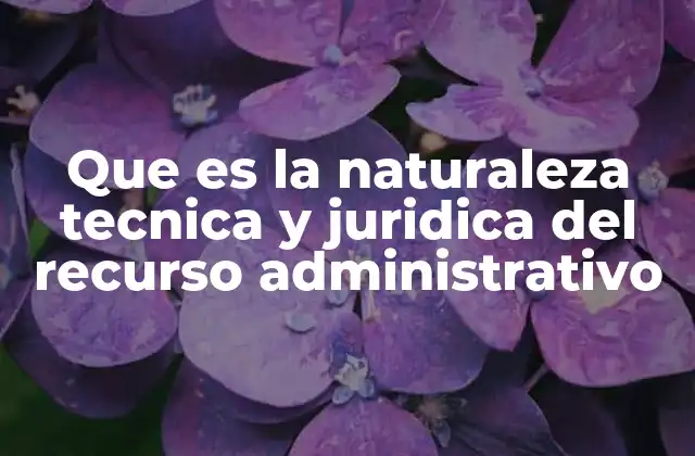 La importancia del recurso administrativo en el sistema legal