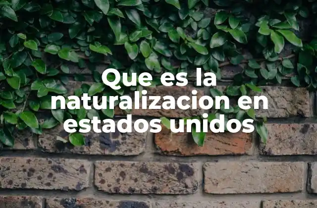 Que es la Naturalizacion en Estados Unidos