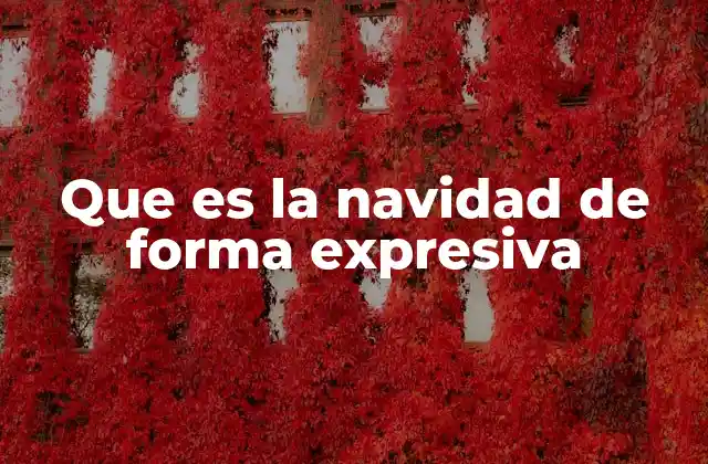 Que es la Navidad de Forma Expresiva