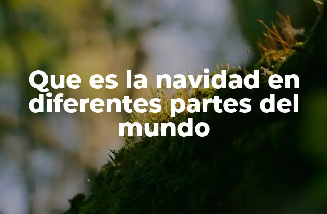 Que es la Navidad en Diferentes Partes Del Mundo