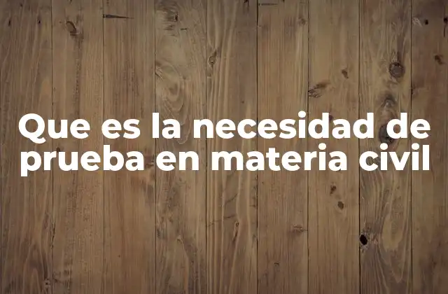 Que es la Necesidad de Prueba en Materia Civil