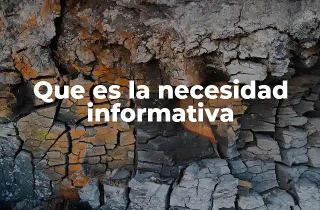 Que es la Necesidad Informativa