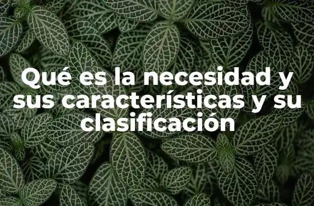 Qué es la Necesidad y Sus Características y Su Clasificación