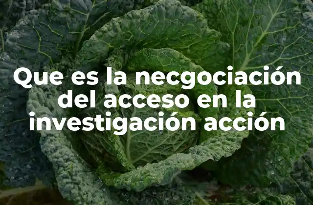Que es la Necgociación Del Acceso en la Investigación Acción