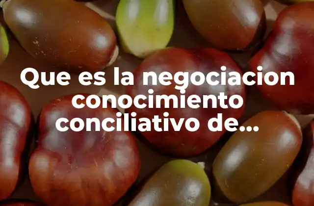 Que es la Negociacion Conocimiento Conciliativo de Suspension