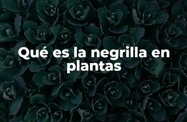 Qué es la Negrilla en Plantas